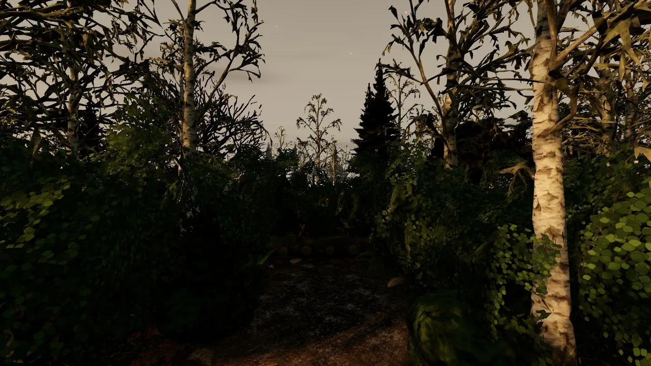 A clearing in the rebuilt Charwood at eye height